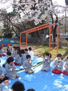 お花見