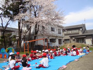 お花見給食 お花見給食