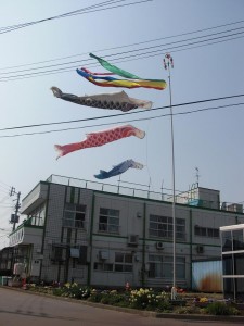 こいのぼり こいのぼり