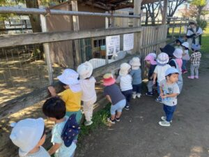 ヤギさん会いにきたよ!