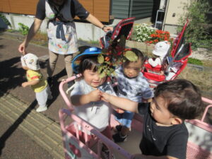 木の実を持っているよ!!