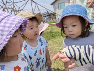 カエルさんを真剣にじーっと見ている姿も可愛らしいですね♪