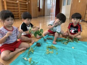 枝豆がちょっとチクチクするよ！