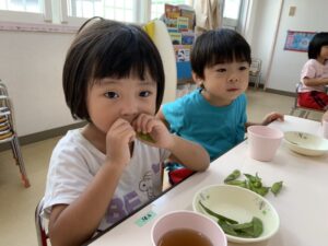 ゆでたての枝豆美味しいね♪